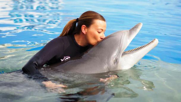 www.technologyipedia.tk-Nellie-the-dolphin1