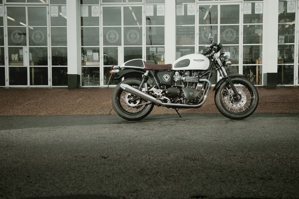 Thruxton Ace Special Edition