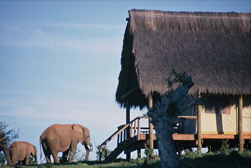 Gorah-Elephant-Camp