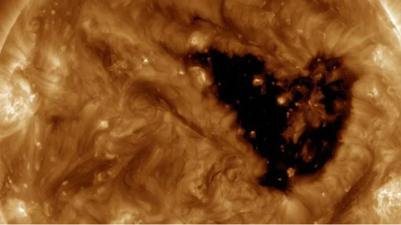 Сонячна активність на 13 вересня 2025 року. Ілюстрація: NASA/SDO