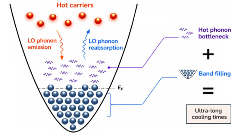 Джерело: Faber et al., ACS Energy Letters, 2026