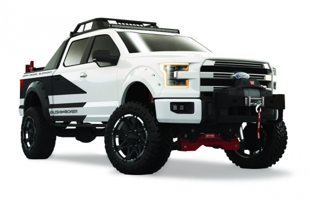 Ford F-150 Bushwacker