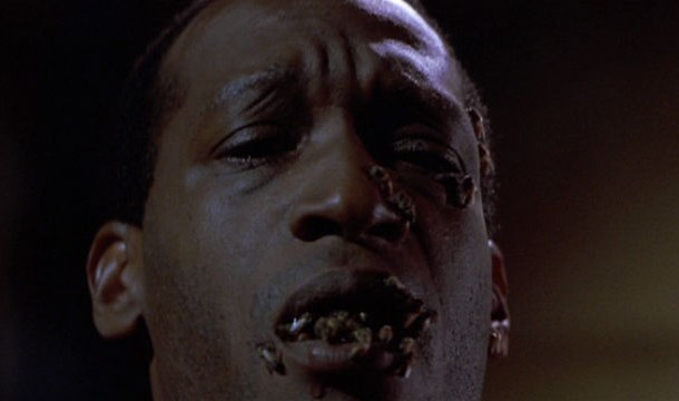 Candyman-not-the-bees-not-the-bees-610x360