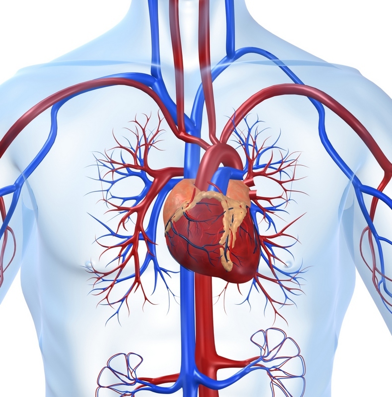 9 випадків, коли болить в одній частині тіла, а справжня проблема - в іншій