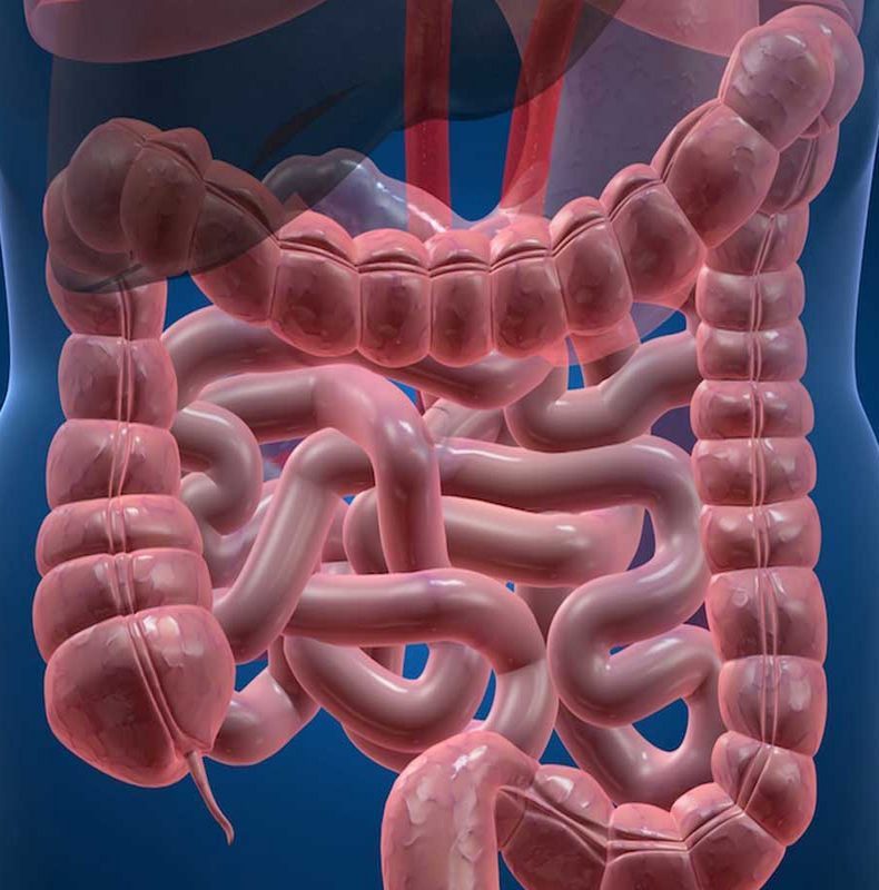 9 випадків, коли болить в одній частині тіла, а справжня проблема - в іншій