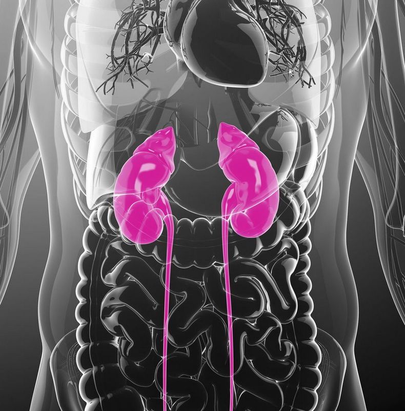 9 випадків, коли болить в одній частині тіла, а справжня проблема - в іншій