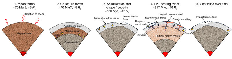 Эволюция недр Луны. Источник изображения: Francis Nimmo et al. / Nature, 2024