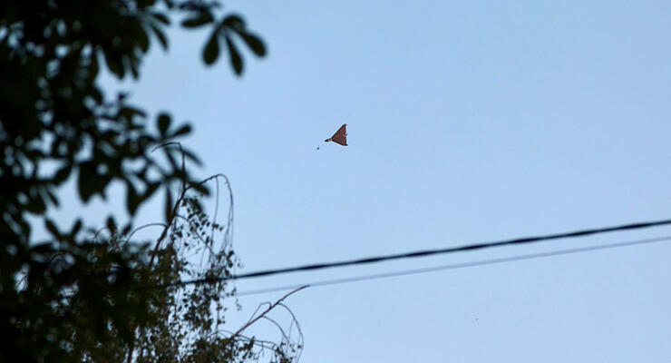 Стало відомо, чому деякі Shahed літають у нас колами