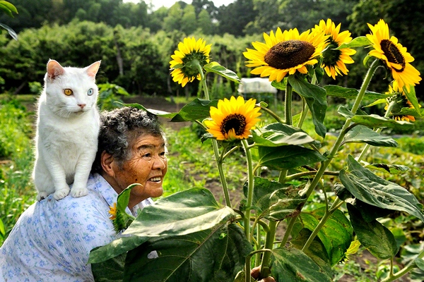 Дружба кота и бабушки (25 фото)